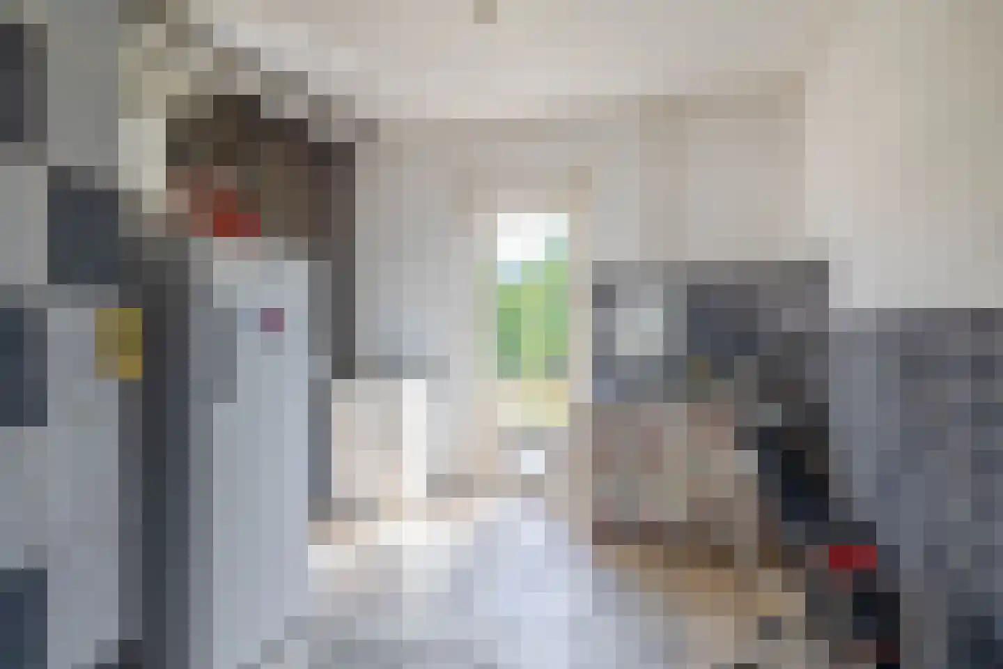 Zuidplasweg 7 Zevenhuizen thumbnail 22