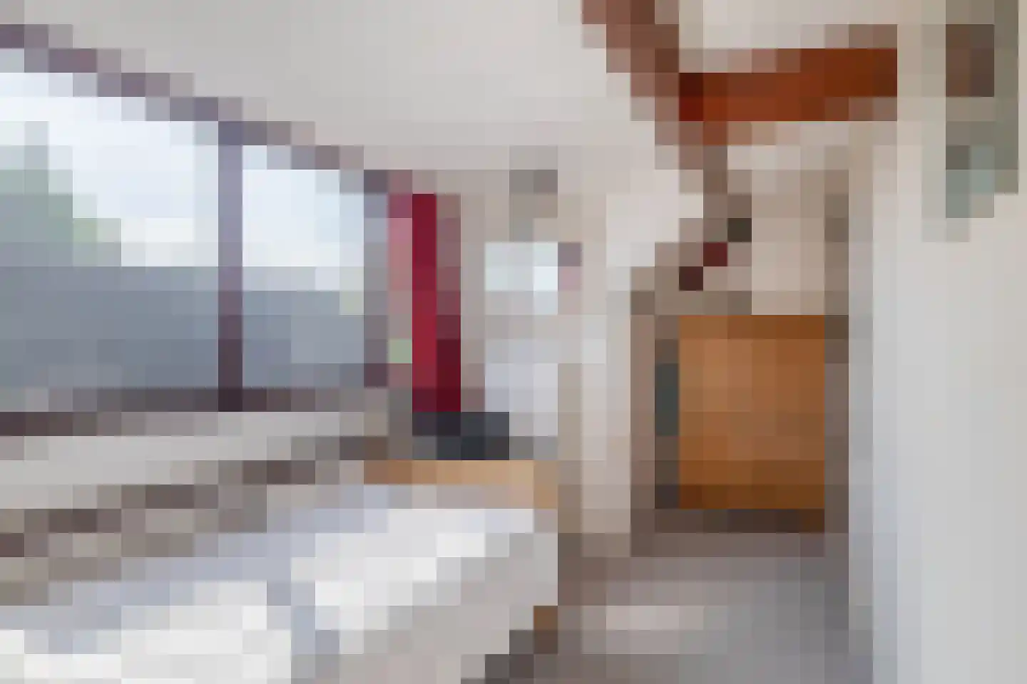 Zuidplasweg 7 Zevenhuizen thumbnail 24