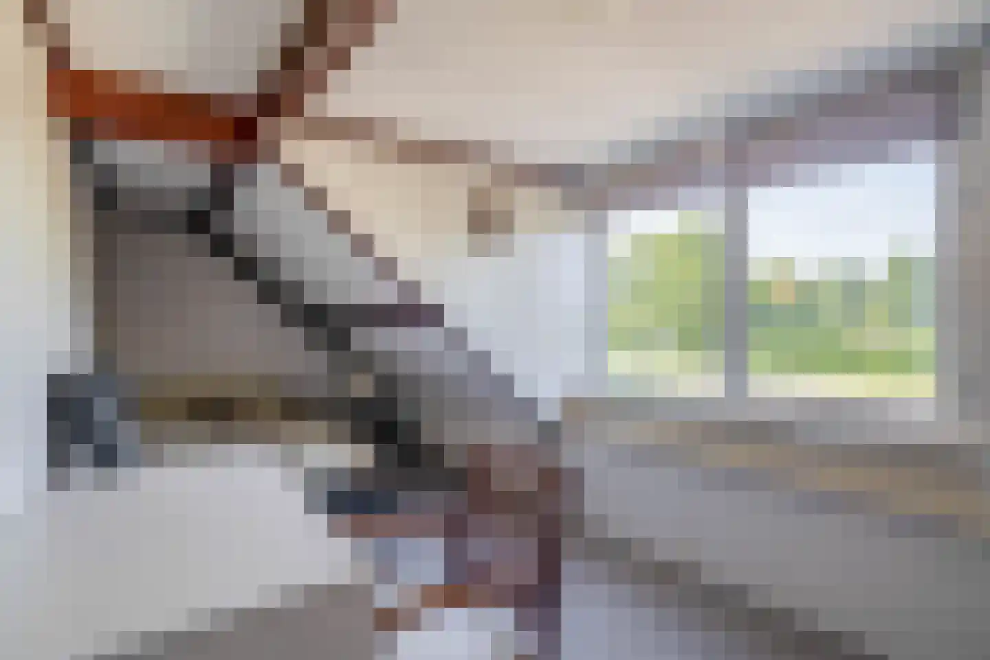 Zuidplasweg 7 Zevenhuizen thumbnail 25