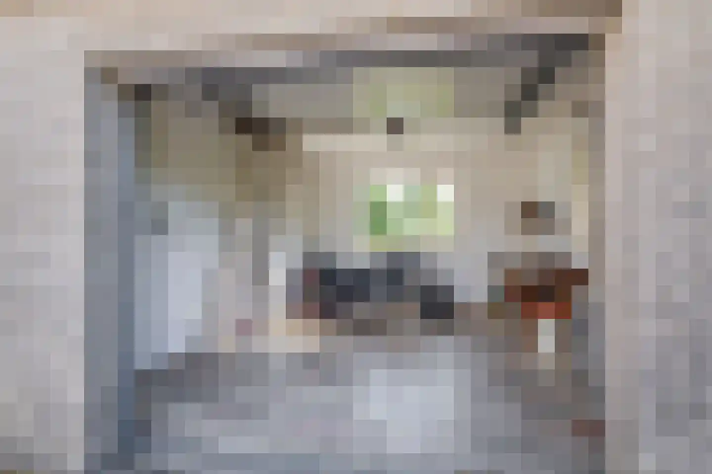 Zuidplasweg 7 Zevenhuizen thumbnail 29