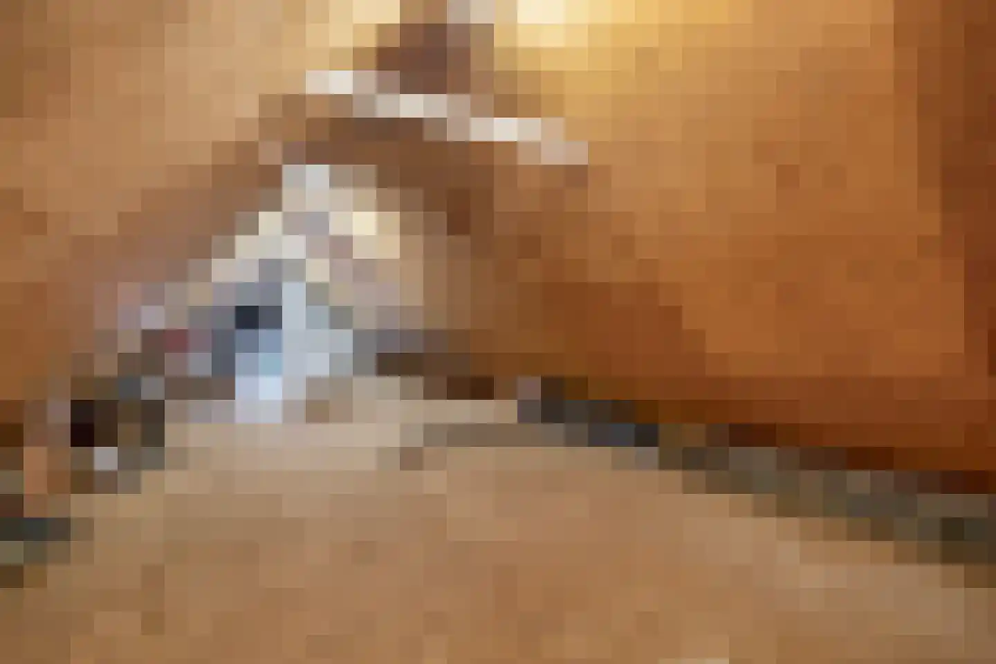 Zuidplasweg 7 Zevenhuizen thumbnail 30