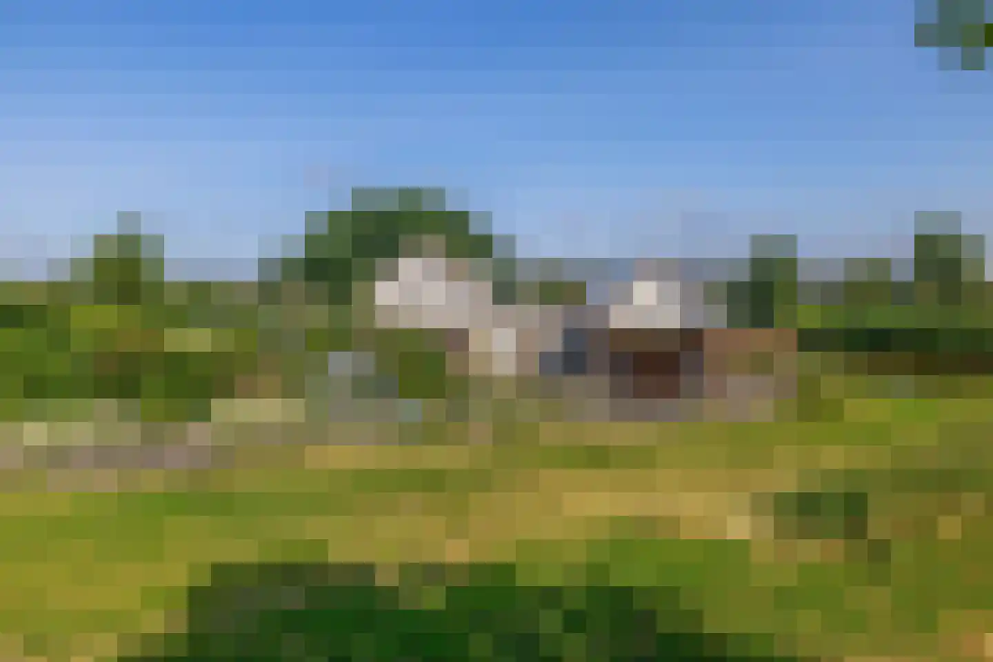 Zuidplasweg 7 Zevenhuizen thumbnail 40