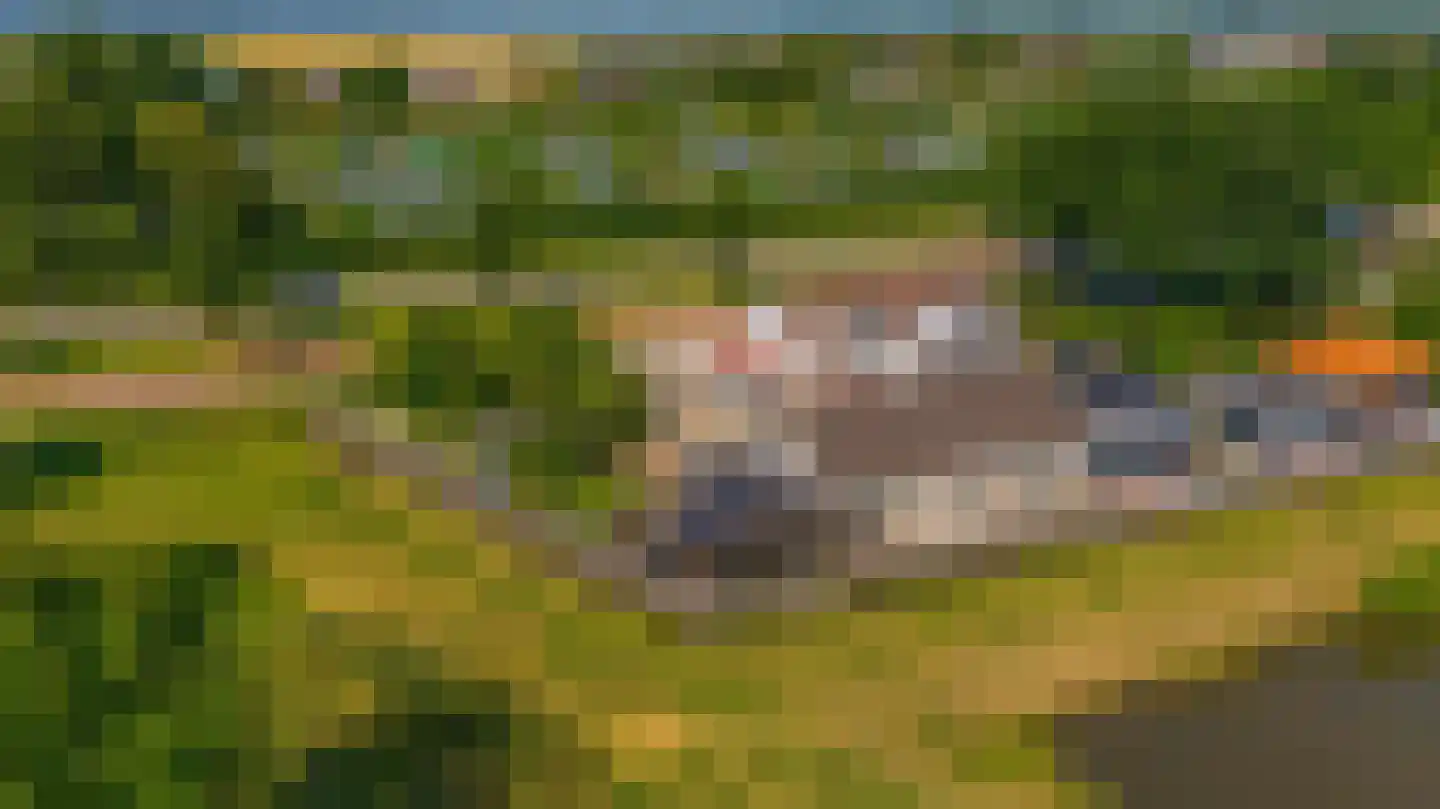 Zuidplasweg 7 Zevenhuizen thumbnail 43