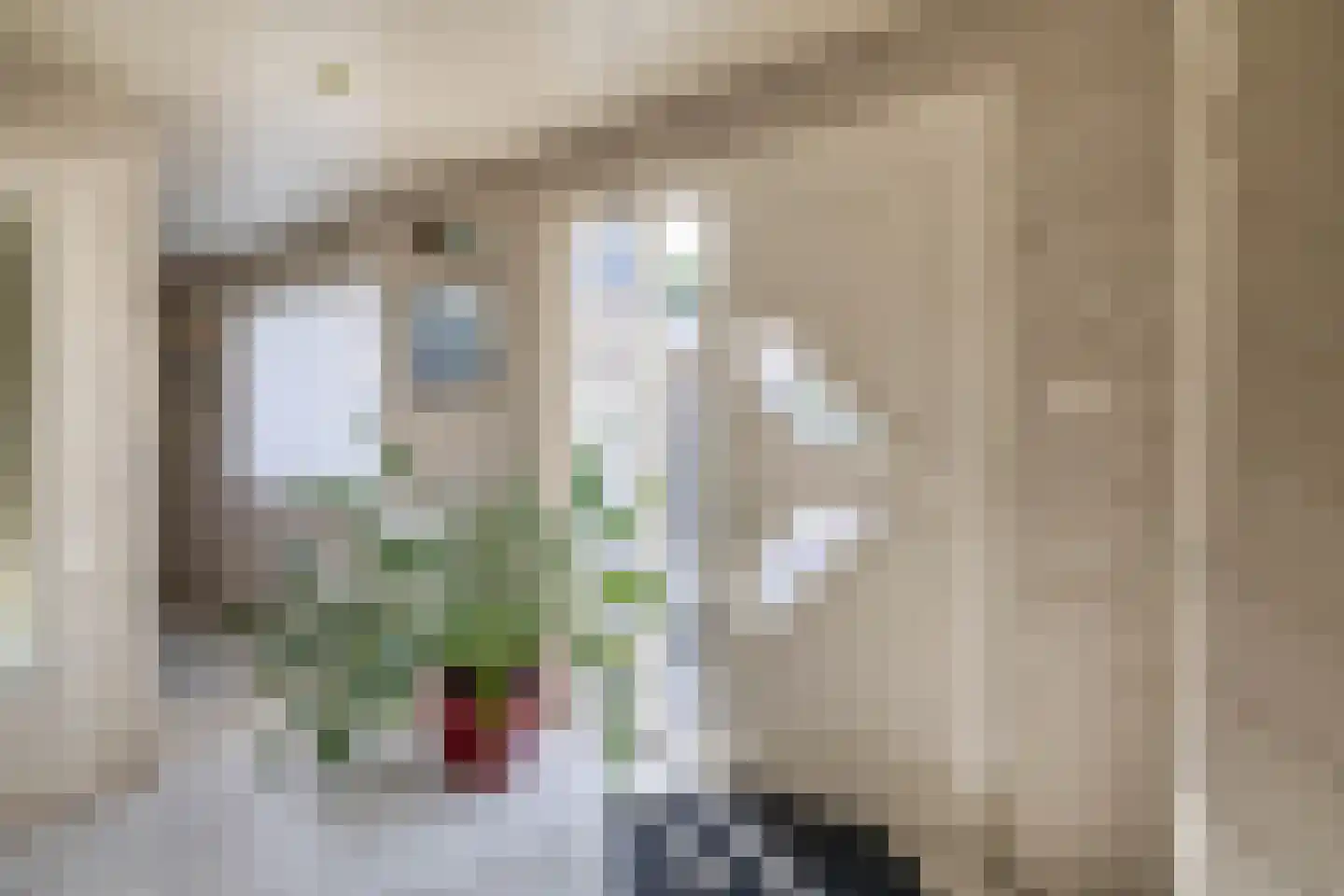 Zuidplasweg 7 Zevenhuizen thumbnail 5