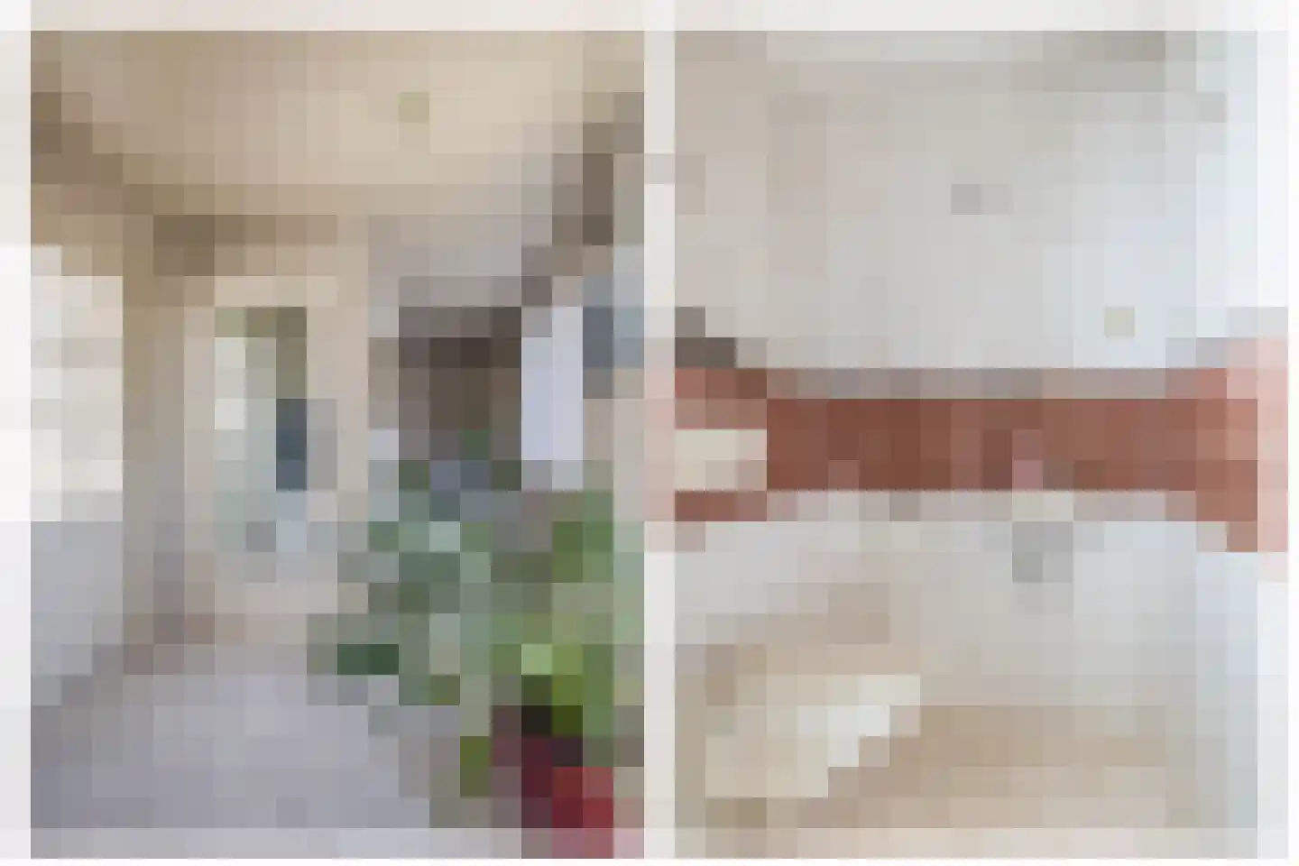 Zuidplasweg 7 Zevenhuizen thumbnail 6