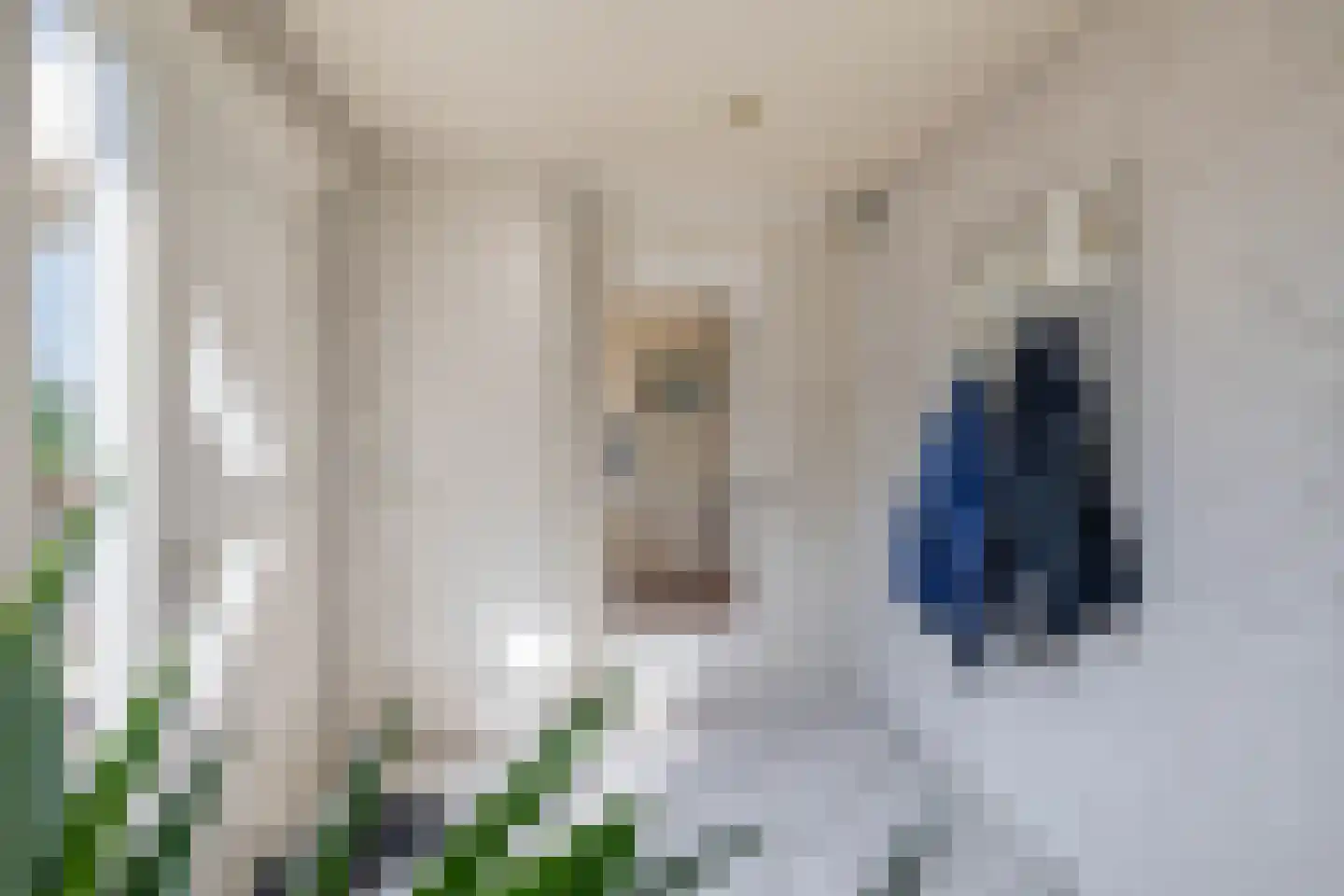 Zuidplasweg 7 Zevenhuizen thumbnail 7