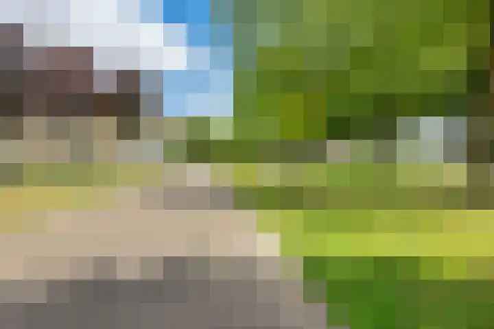 Zuidplein 450 Rotterdam thumbnail 25