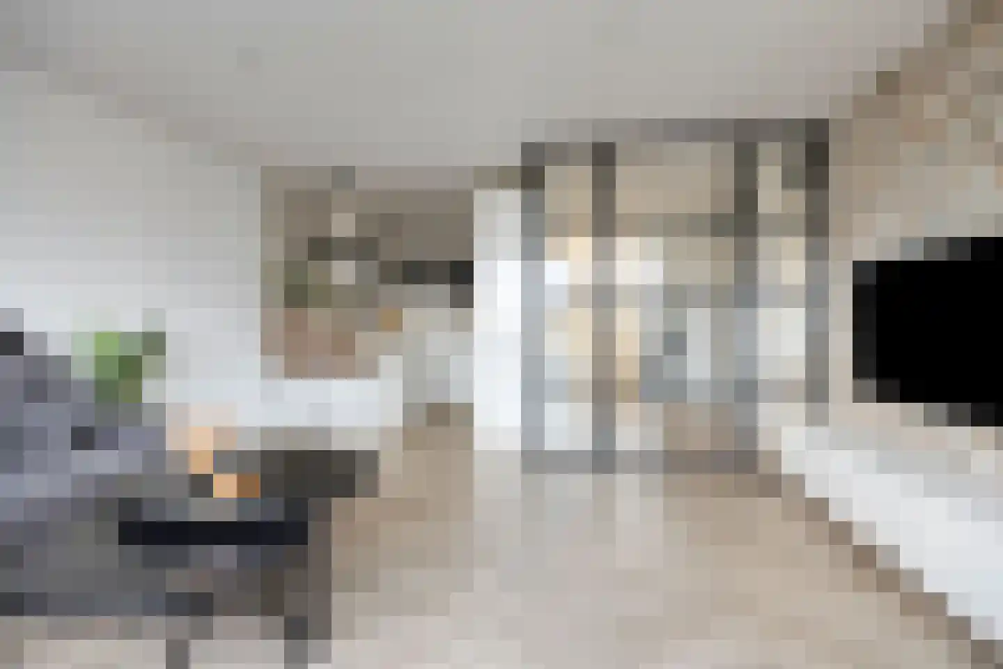 Zuidplein 534 Rotterdam thumbnail 12