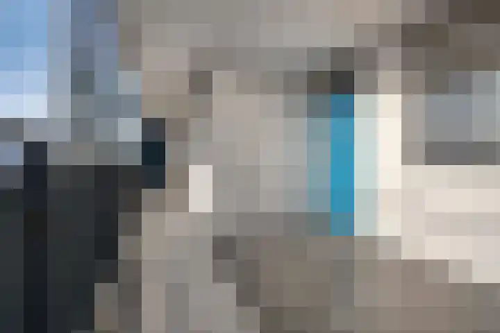 Zuidplein 534 Rotterdam thumbnail 8