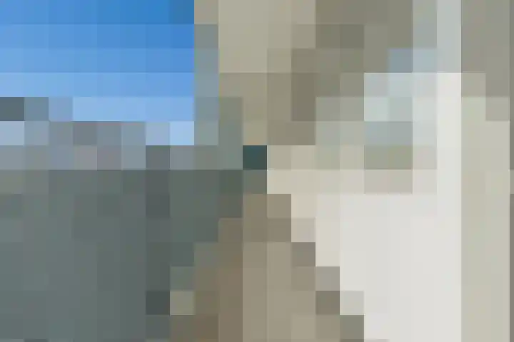 Zuidplein 536 Rotterdam thumbnail 31