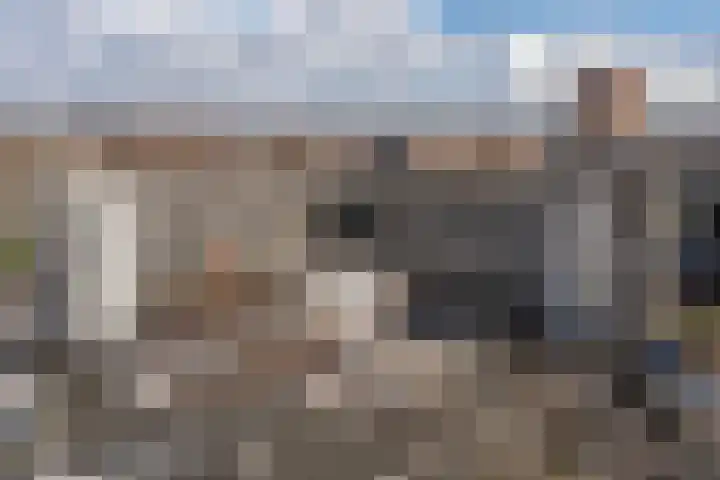 Zuidplein 536 Rotterdam thumbnail 33