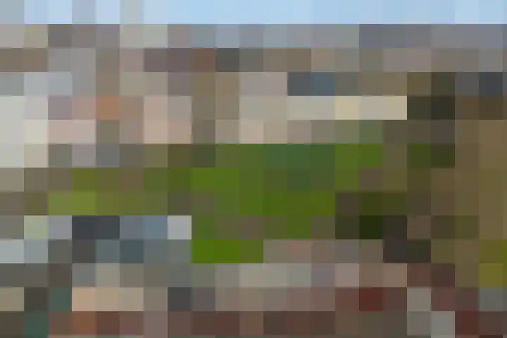 Zuidplein 536 Rotterdam thumbnail 36