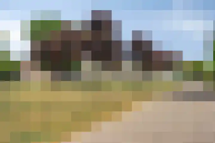 Zuidplein 568 Rotterdam thumbnail 36