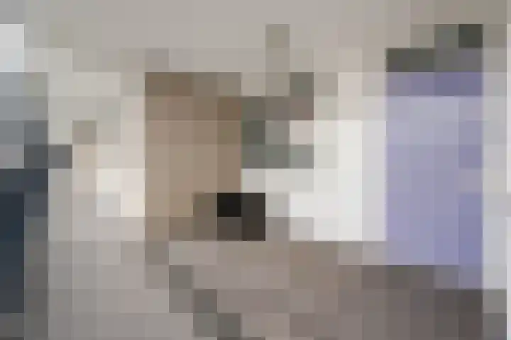 Zuidplein 662 Rotterdam thumbnail 21