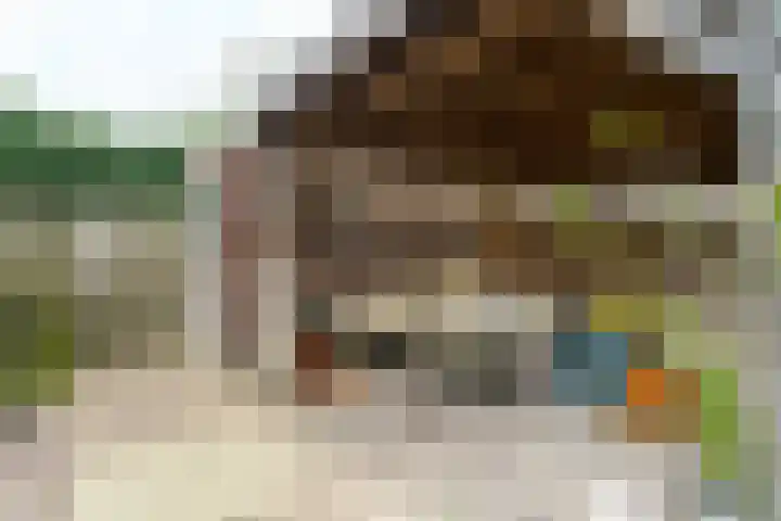 Zuidpoldersingel 113 Delfgauw thumbnail 11