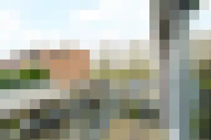 Zuidpoldersingel 113 Delfgauw thumbnail 21