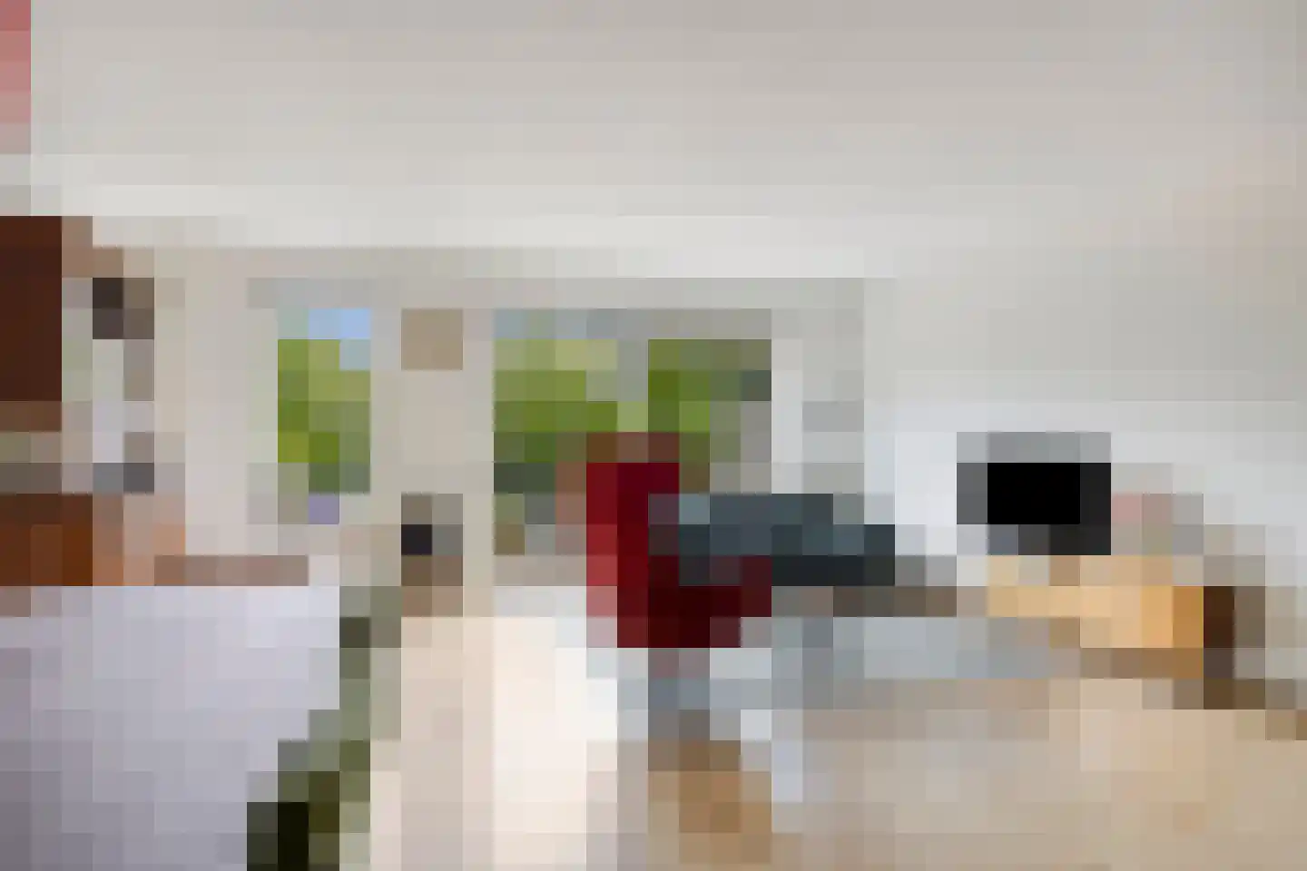 Zuidpoldersingel 36 Delfgauw thumbnail 8