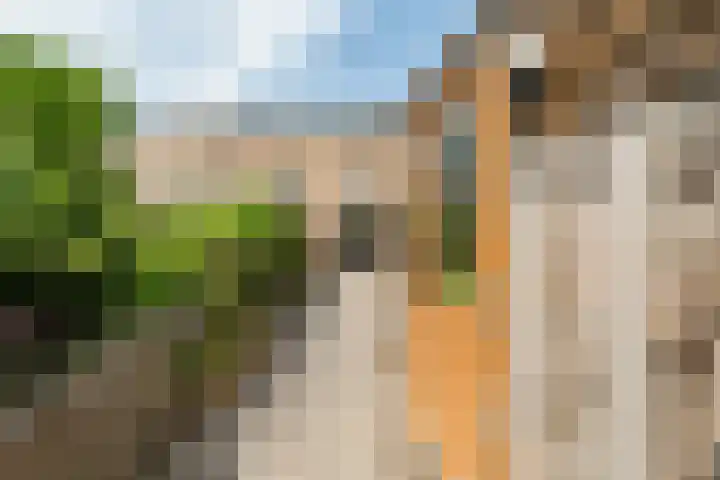 Zuidpoldersingel 38 Delfgauw thumbnail 21