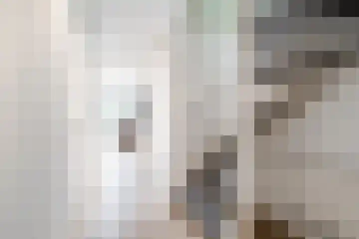 Zuidpoldersingel 38 Delfgauw thumbnail 8