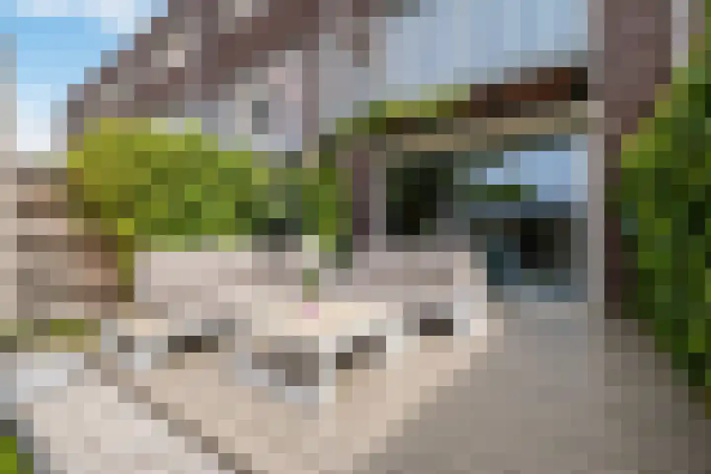 Zuidpoldersingel 53 Delfgauw thumbnail 21