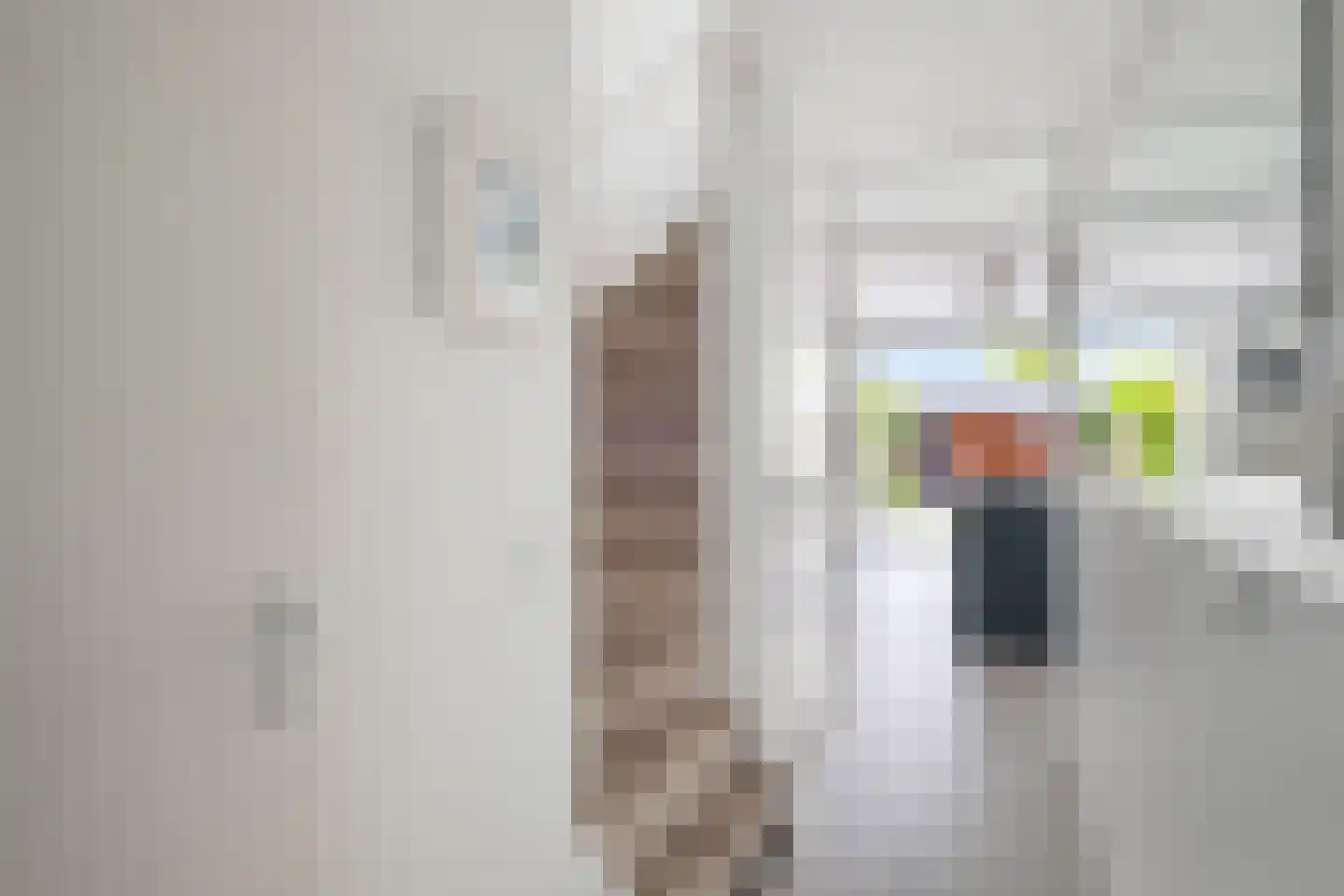 Zuidpoldersingel 53 Delfgauw thumbnail 8