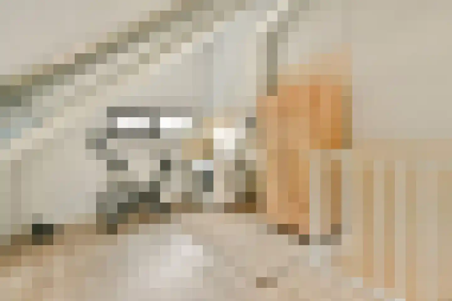 Zuidpolderstraat 183 Haarlem thumbnail 22