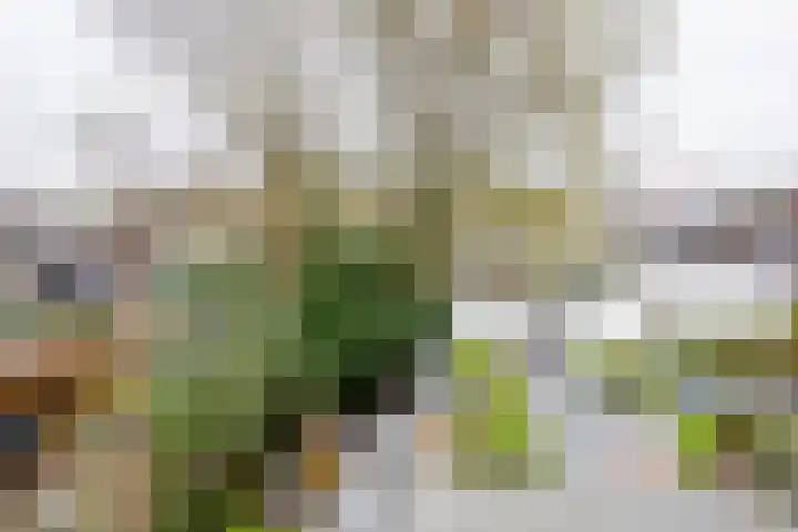 Zuidpolderstraat 184 Haarlem thumbnail 31