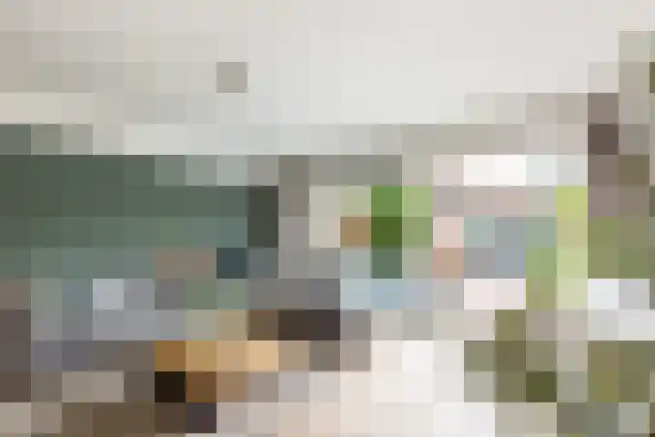 Zuidpolderstraat 235 Haarlem thumbnail 6