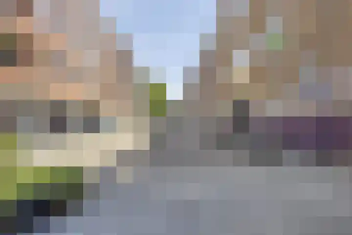 Zuidpolderstraat 36 A Rotterdam thumbnail 16