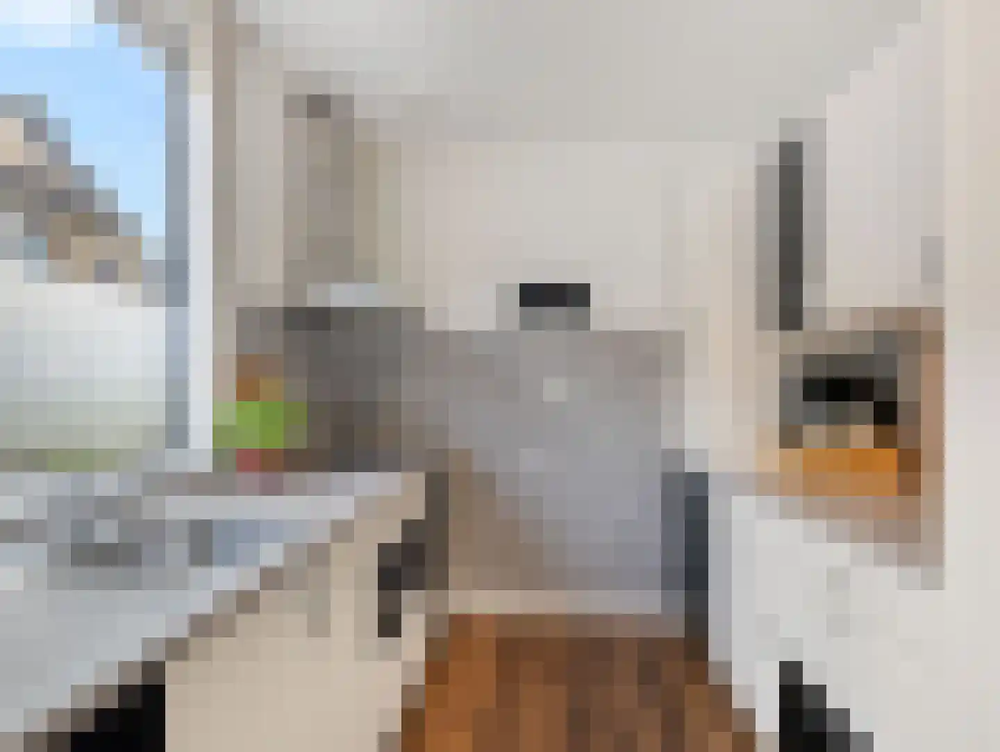 Zuidpooldreef 14 Utrecht thumbnail 17