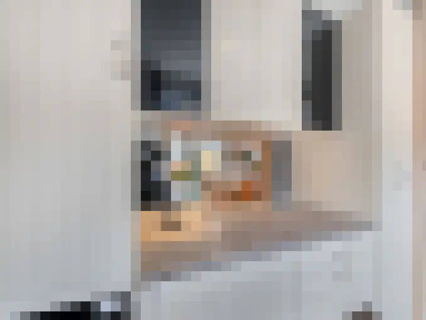 Zuidpooldreef 14 Utrecht thumbnail 20