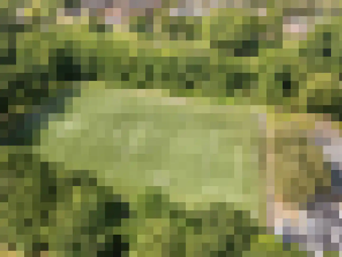 Zuidpooldreef 14 Utrecht thumbnail 54
