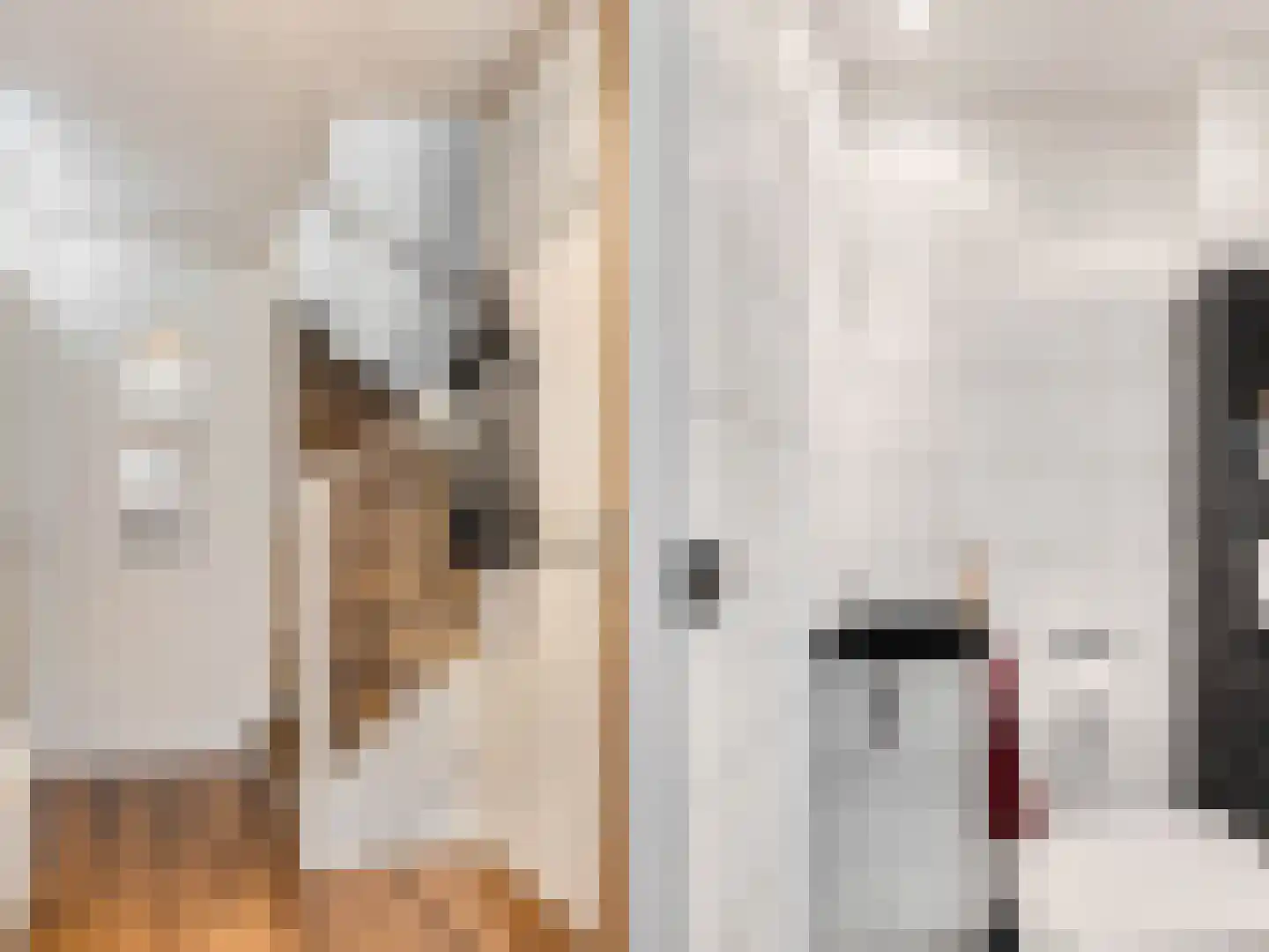 Zuidpooldreef 14 Utrecht thumbnail 6