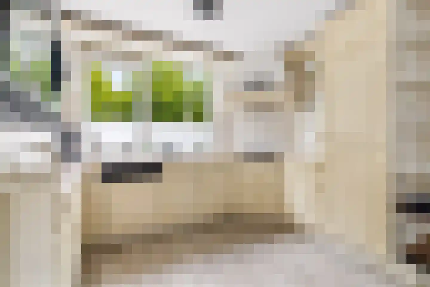 Zuidpooldreef 34 Utrecht thumbnail 17