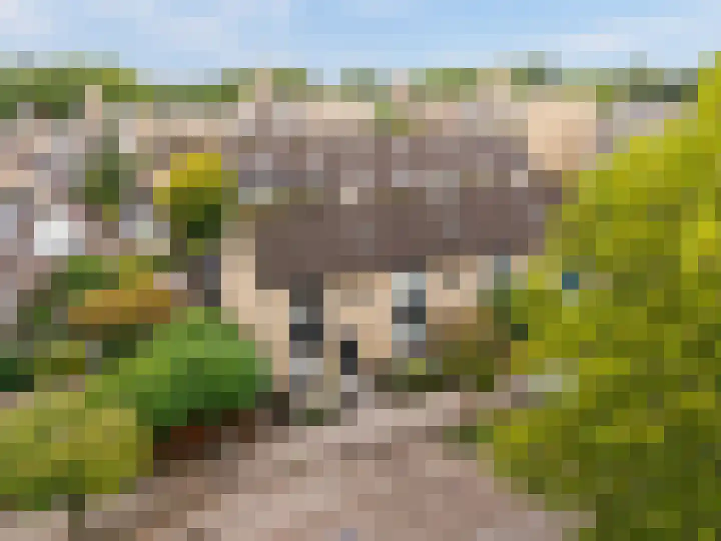 Zuidpooldreef 34 Utrecht thumbnail 4