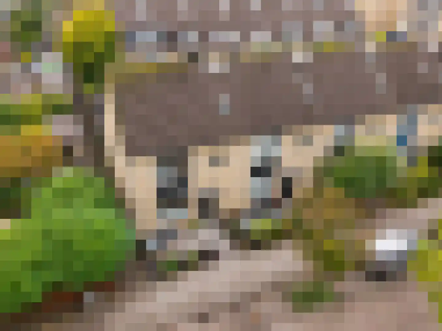 Zuidpooldreef 34 Utrecht thumbnail 43