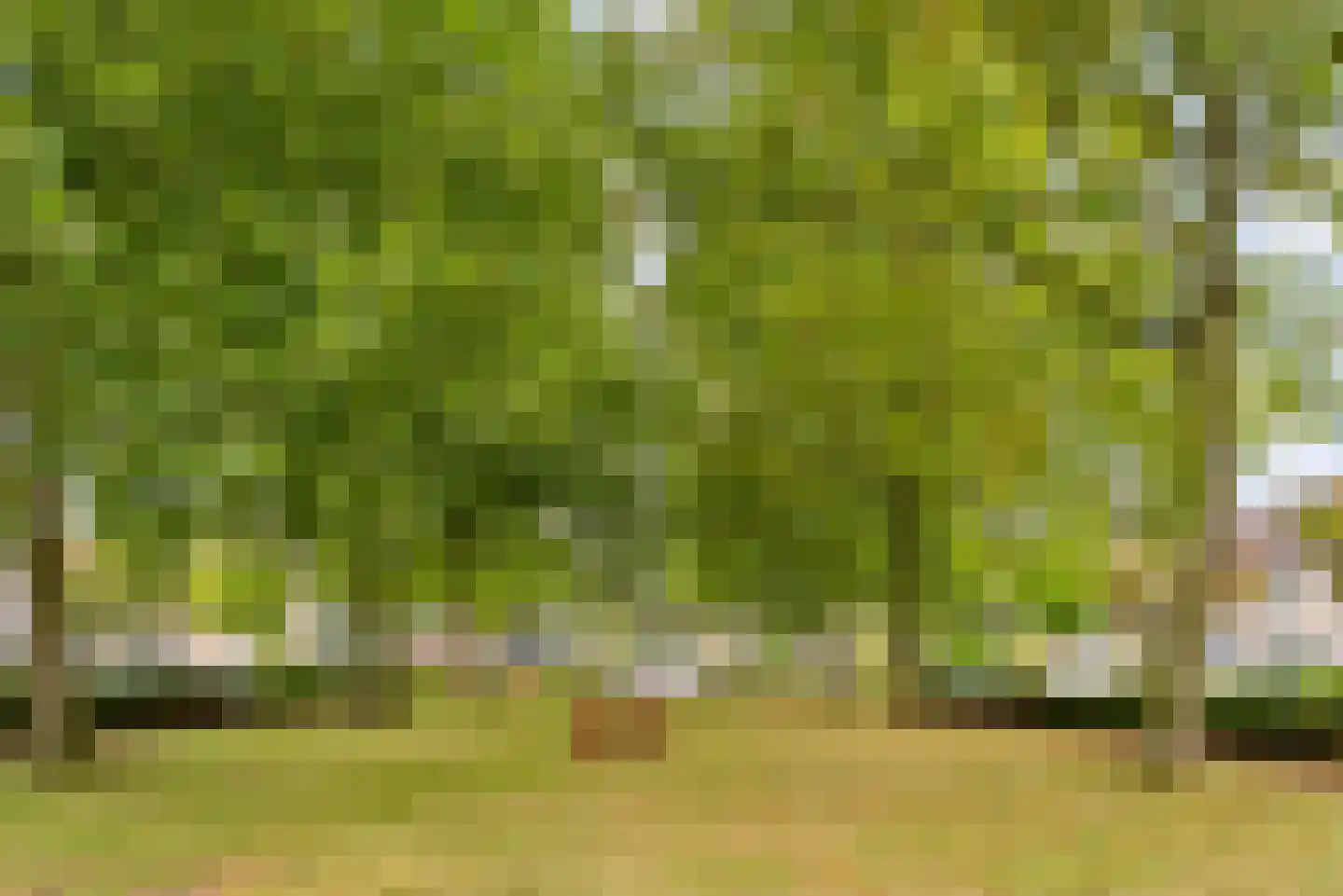 Zuidpooldreef 34 Utrecht thumbnail 46