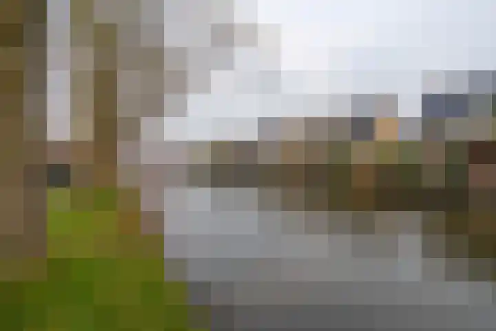 Zuidpoolstraat 18 IJsselstein thumbnail 37