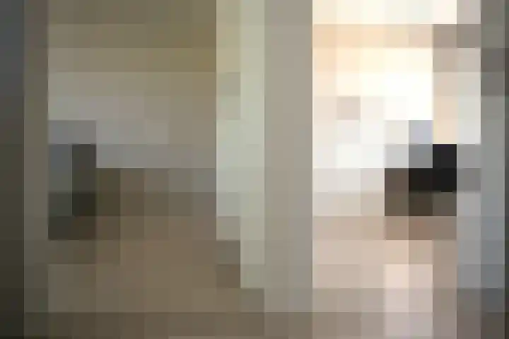 Zuidpoortstraat 18 Aardenburg thumbnail 17