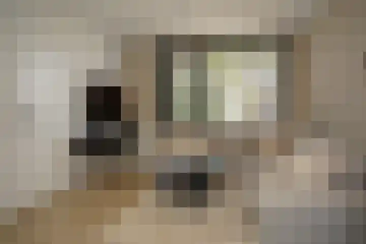 Zuidpoortstraat 18 Aardenburg thumbnail 4