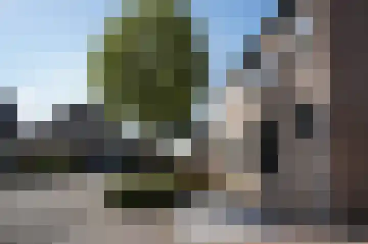 Zuidpoortstraat 18 Aardenburg thumbnail 41