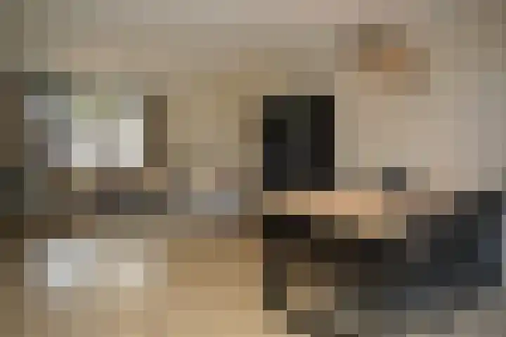 Zuidpoortstraat 18 Aardenburg thumbnail 5