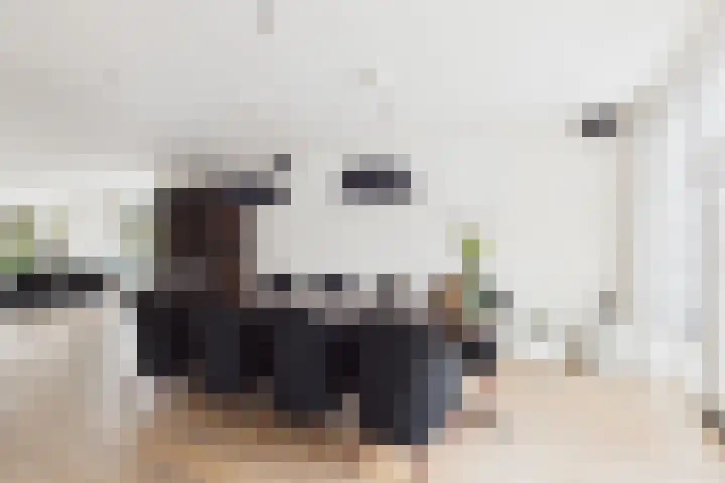 Zuidsingel 1 a Axel thumbnail 13