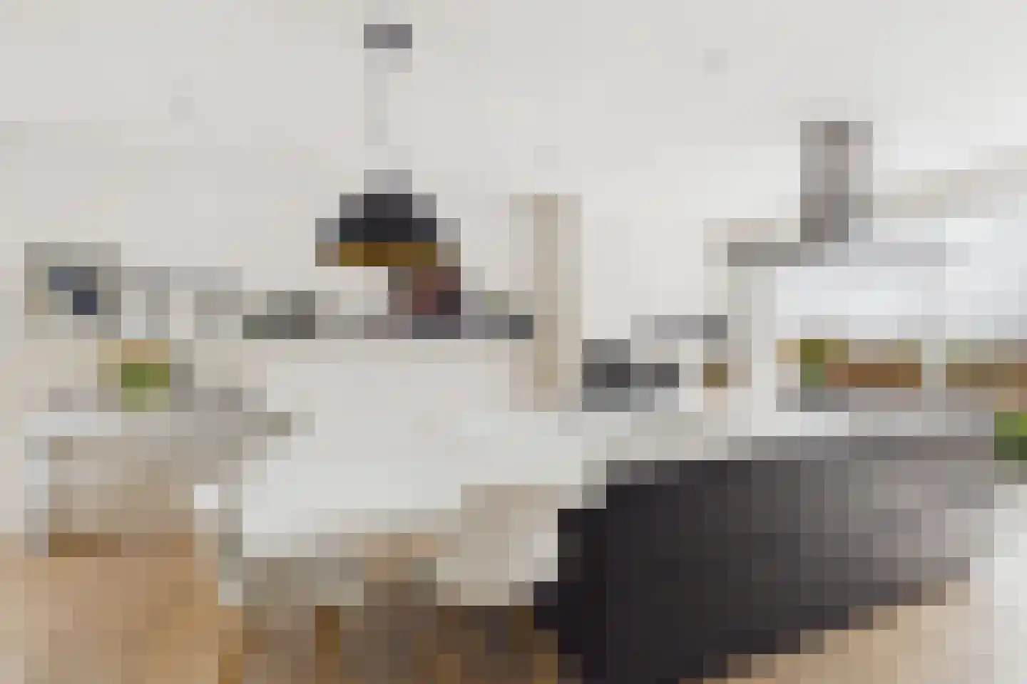 Zuidsingel 1 a Axel thumbnail 15