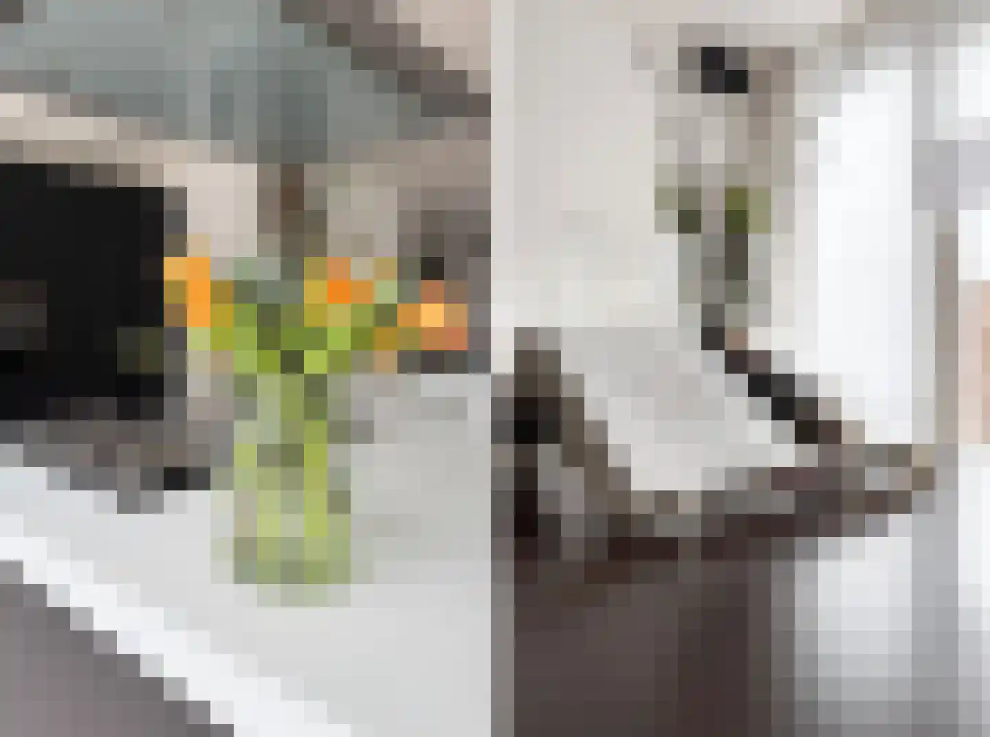 Zuidsingel 1 a Axel thumbnail 17