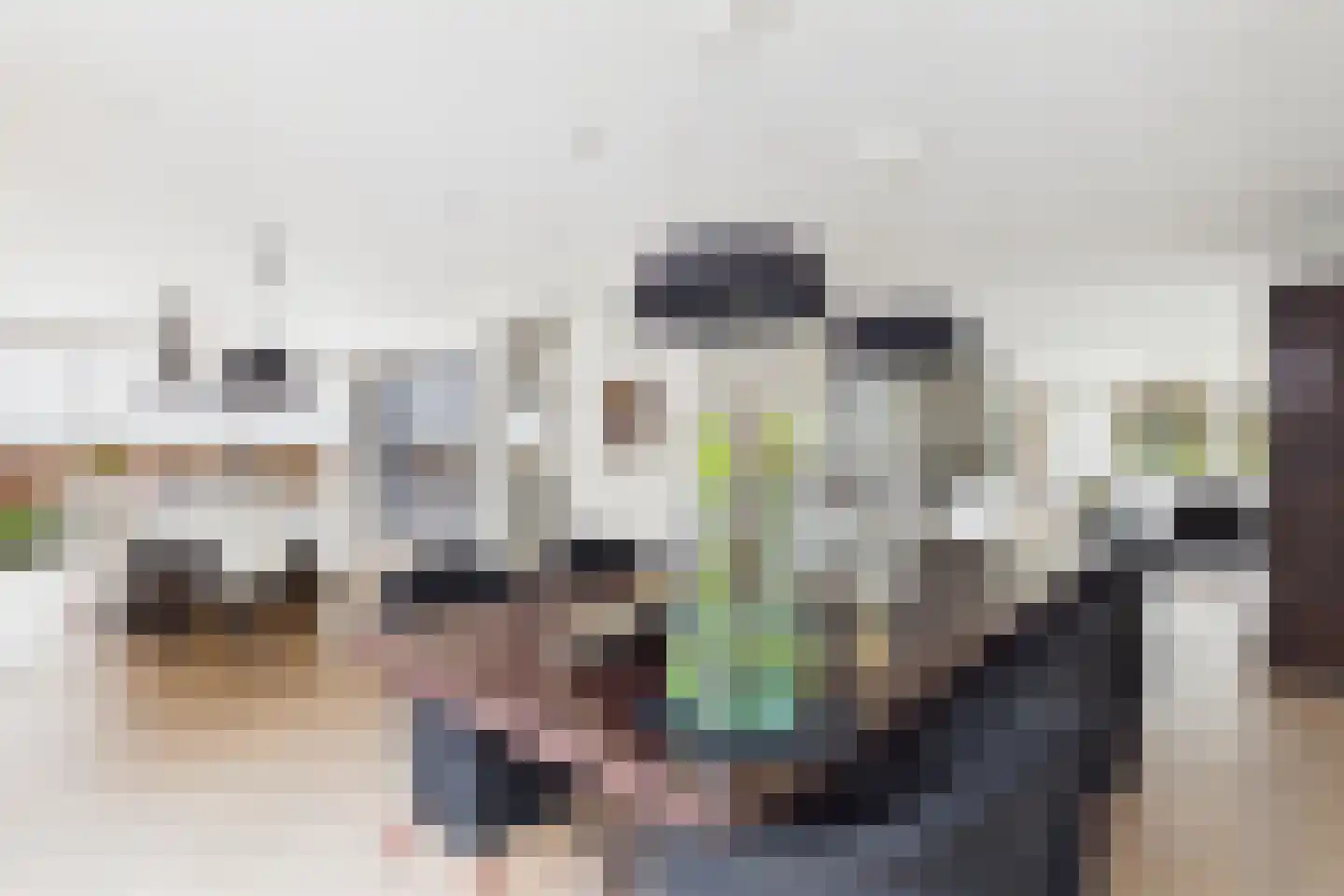 Zuidsingel 1 a Axel thumbnail 18