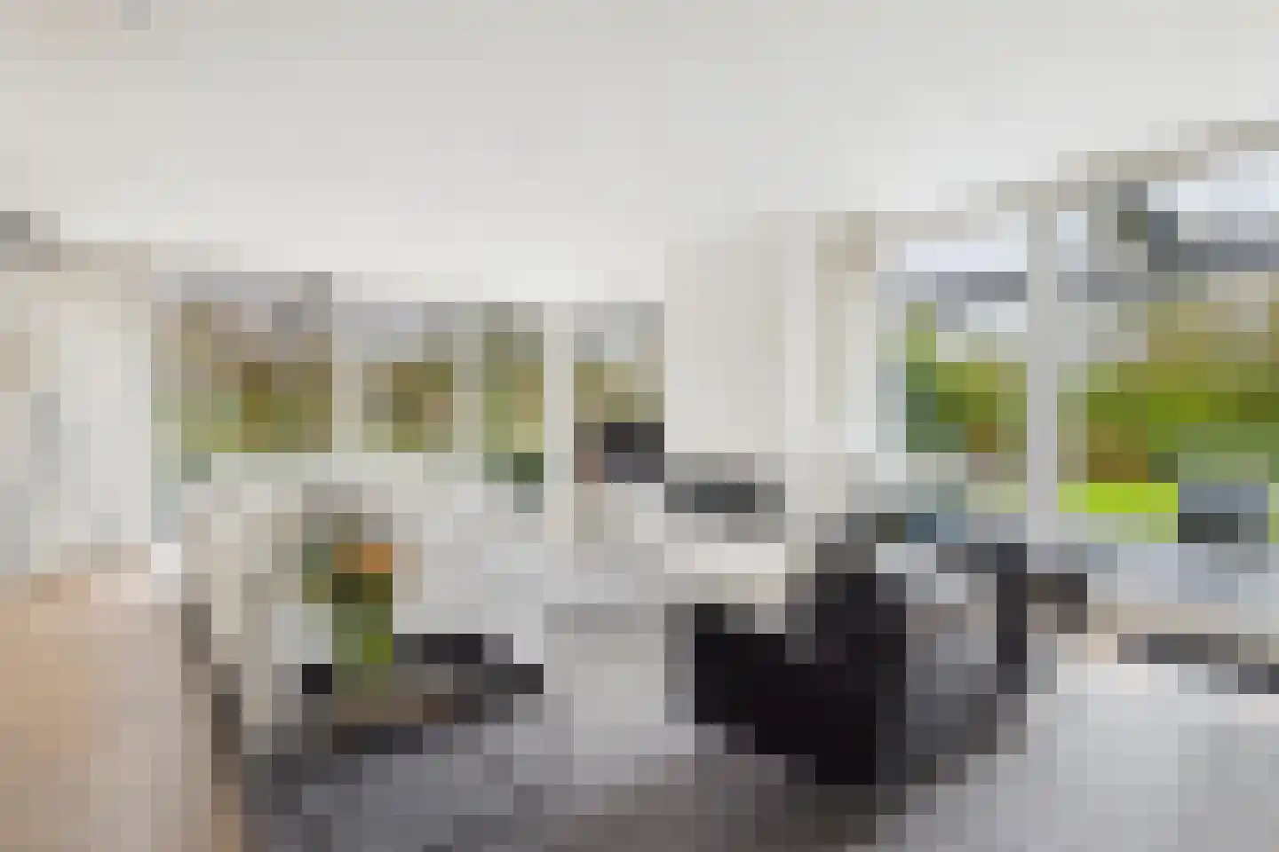 Zuidsingel 1 a Axel thumbnail 19