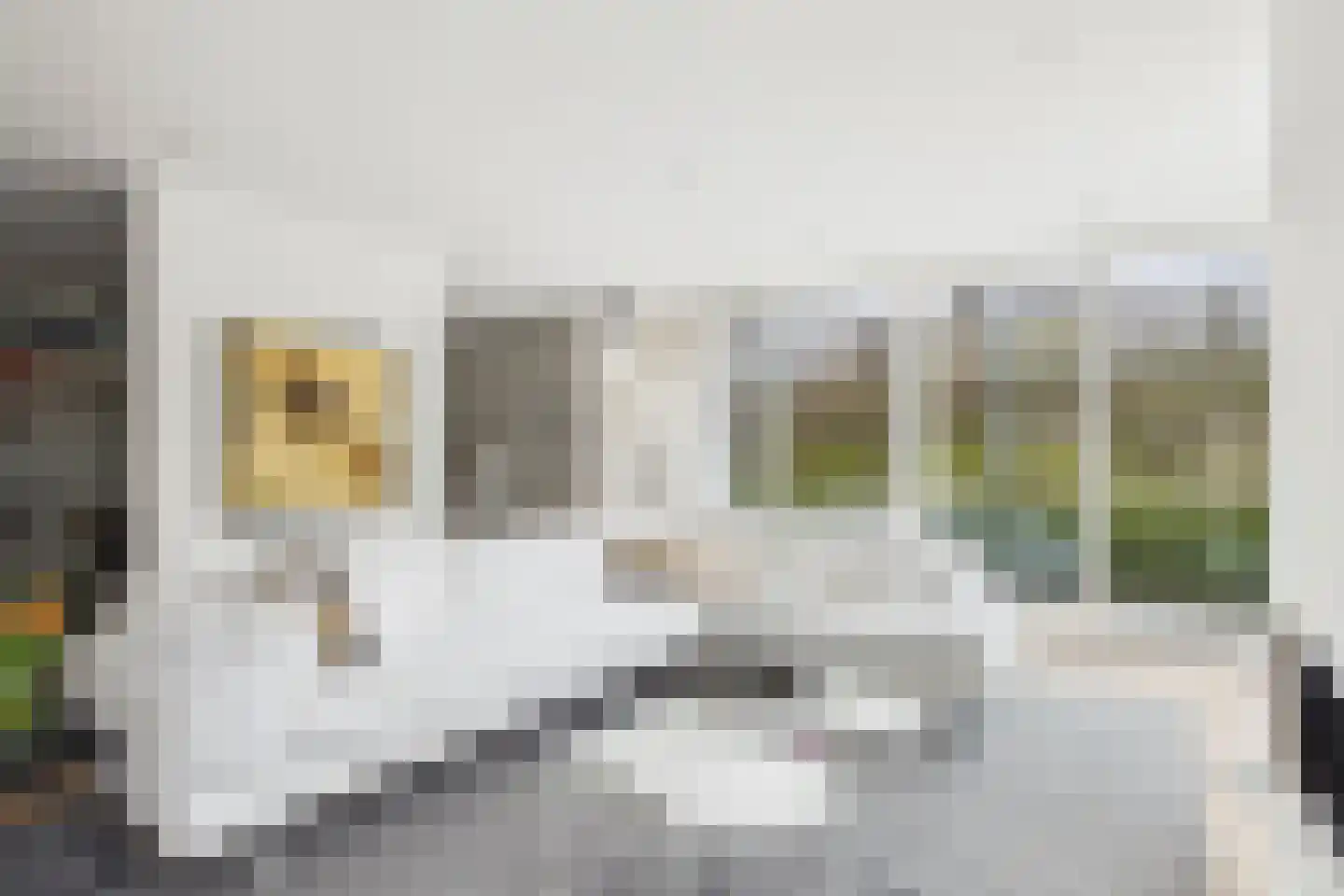 Zuidsingel 1 a Axel thumbnail 20