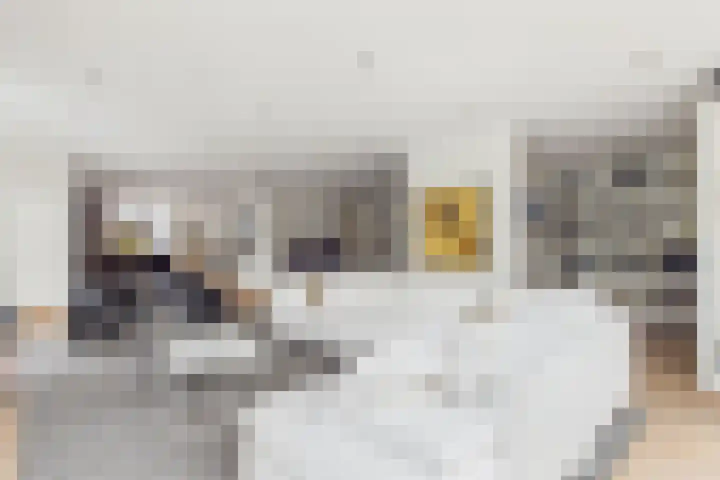 Zuidsingel 1 a Axel thumbnail 21