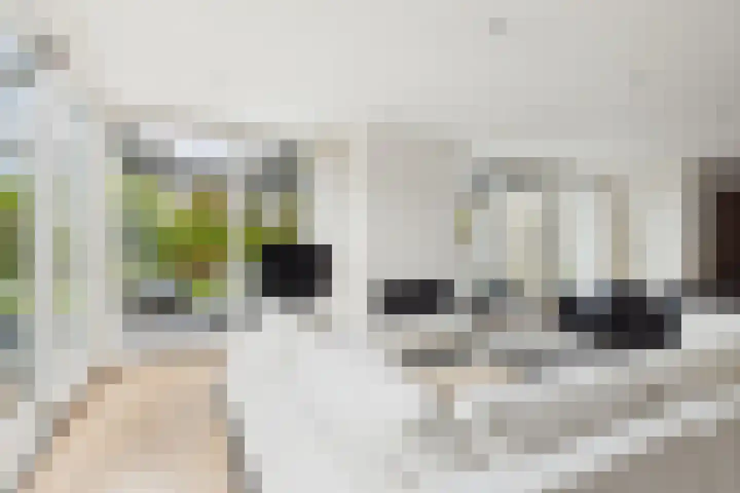 Zuidsingel 1 a Axel thumbnail 23